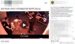 网曝热门事件劲爆视频在线观看 热门大瓜汇总,劲爆视频在线观看，热门大瓜一网打尽！